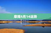 摩羯5月14运势，18岁的摩羯座2015年5月份的运势
