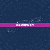 虎年宝宝名字洋气，虎年取什么小名