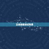 正缘画像测试免费，免费八字透视另一半