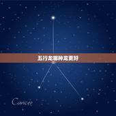 五行龙哪种龙更好，属龙的五行缺什么