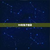 99年兔子姻缘，99年属兔的姻缘在哪年