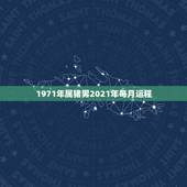 1971年属猪男2021年每月运程，1971年属猪2021年运势及运程