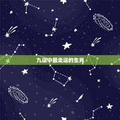 九运中最走运的生肖，十二生肖中什么动物跑的最快