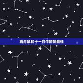 五月鼠和十一月牛婚配最佳，农历十月出生的鼠和农历十一月出生的牛相配吗