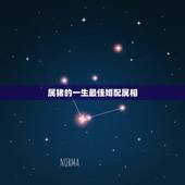 属猪的一生最佳婚配属相，属猪配什么属相最合适