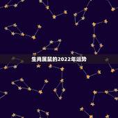 生肖属鼠的2022年运势，2022年12生肖运势解析