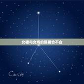 女猪与女鸡的属相合不合，属鸡女和属猪的合得来吗？