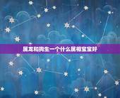 属龙和狗生一个什么属相宝宝好，男属狗，女属龙，要小孩属什么属相好？