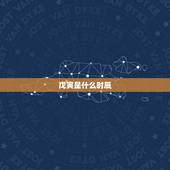 戊寅是什么时辰，戊寅时柱详解