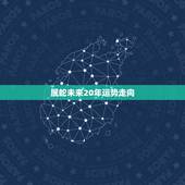 属蛇未来20年运势走向，属蛇2024年运势及运程学习