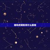 猪和虎婚配忌什么属相，属相老虎和猪相配吗