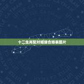 十二生肖配对姻缘合婚表图片，婚姻属相配对大全很准