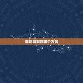 属蛇偏财在哪个方向，属蛇的财位在哪个方向