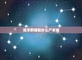 尾羊的婚配什么尸求相，生肖属羊的人与什么生肖属相相婚配