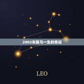 2002年属马一生的命运，78年属马女一生命运