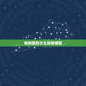 母刺猬在什么时候婚配，刺猬生育后是哪些状况