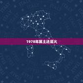 1978年属土还是火，1978年属马的到底是火命还是土命？