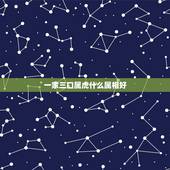 一家三口属虎什么属相好，家里一家三口属虎再要一个什么属相的好