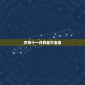 农历十一月的金牛宝宝，金牛座的宝宝都是些什么性格