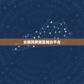 女属狗男属鼠相合不合，1994年属狗更佳婚配