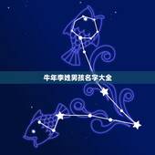 牛年李姓男孩名字大全，请给牛年李姓男孩缺木取名