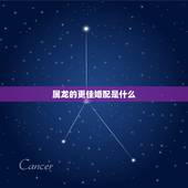 属龙的更佳婚配是什么，属小龙的更佳婚配属相