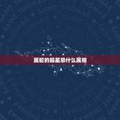 属蛇的躲星忌什么属相，属蛇在2021年以后十年大运