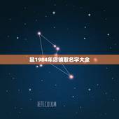 鼠1984年店铺取名字大全，1984年属鼠的开网络科技有限公司取什么名