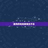 属狗的和龙属相合不合，我现在找了个男朋友属龙的＇我属狗，有人说龙和狗不