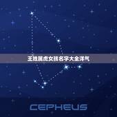 王姓属虎女孩名字大全洋气 王姓女孩名字简单大方洋气