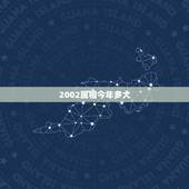 2002属相今年多大，2002年出生的是什么星座，什么生肖
