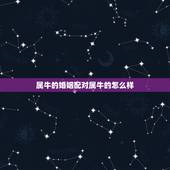 属牛的婚姻配对属牛的怎么样，属牛女婚配属牛男好吗？