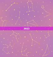 2022  网名女最新2个字，2021qq网名女