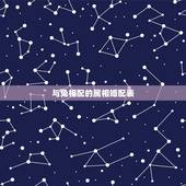 与兔相配的属相婚配表，生肖兔跟什么最配，属兔的属相婚配表