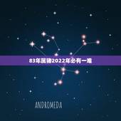 83年属猪2022年必有一难，83年属猪女人感情归宿