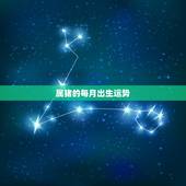 属猪的每月出生运势，属猪的几月出生最好？