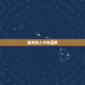 属羊的人今年运势，1955年属羊的人2017年运程