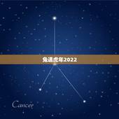 兔遇虎年2022 年怎么样，2022 年犯太岁的生肖有哪些