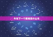 牛年下一个属相是什么年，牛年后面再是什么生肖年？