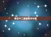 男女十二星座配对分析，关于12星座男女的配对配百分比