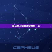 属马女人命中注定的另一半，属虎女人命中注定的另一半