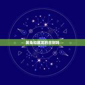 属兔和属龙的合财吗，龙和兔合财吗