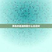 黑色的泰迪狗取什么名招财，黑色泰迪起什么名字好听