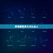 草龟要养多久才认主人，中华草龟有灵性吗，一般养多久才可能认得了主人