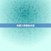 夫妻八字相合从官，合夫妻宫或是合官，还有官年是什么意思啊？请会看八字的