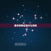 属羊的特征是什么样的，有趣的中心话题具备什么特征