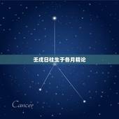 壬戌日柱生于各月精论，癸卯日柱精论生于各月