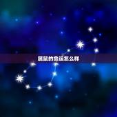 属鼠的命运怎么样，1984年今年的命运好不好