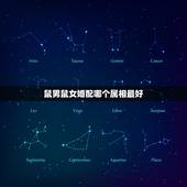 鼠男鼠女婚配哪个属相最好，属相婚配属鼠的男性配什么属象的女性