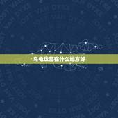 乌龟坟墓在什么地方好，乌龟死后应该怎么办才好。要埋在什么地方才对他好